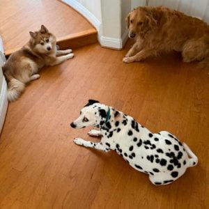 In-Home Care