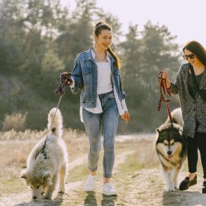 Adventure Walk